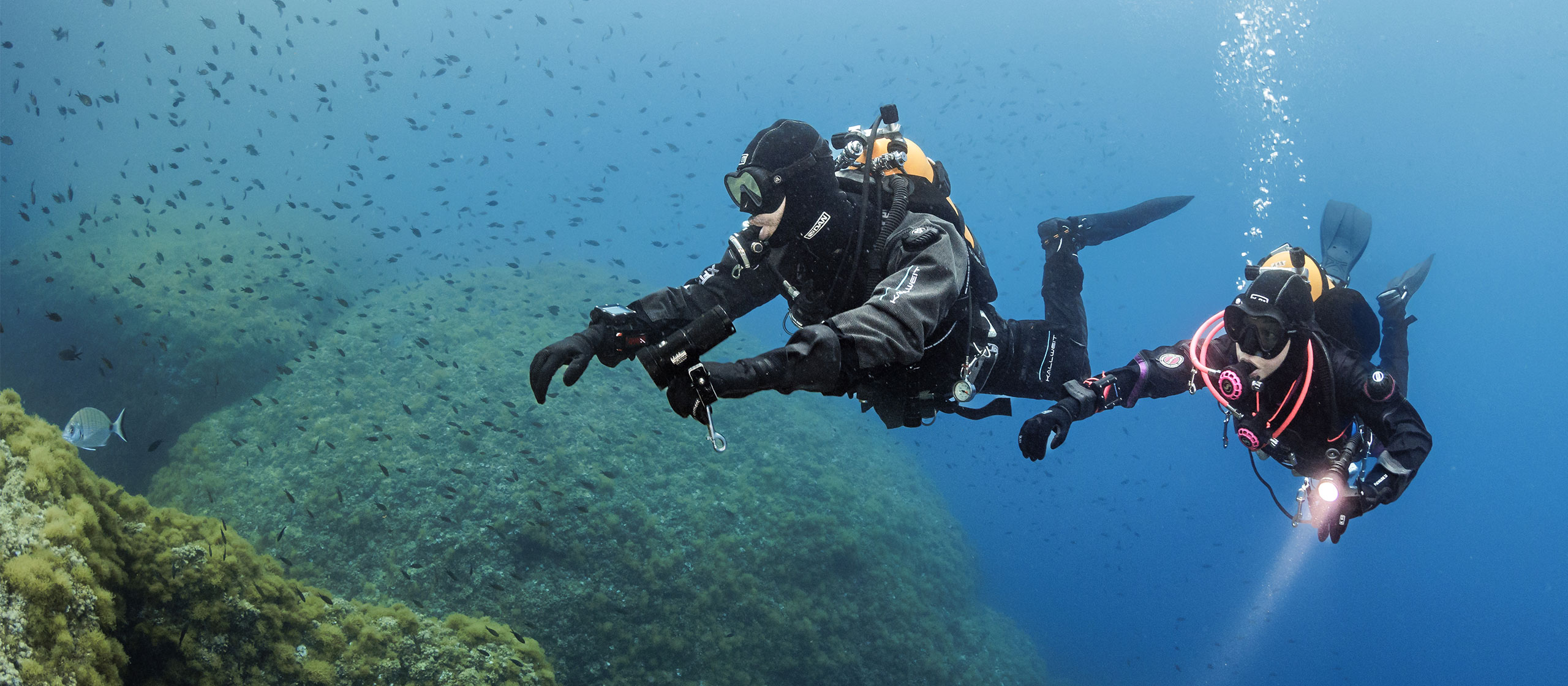 Immersion Pulmonary Oedema: Een duikveiligheidsoverweging?