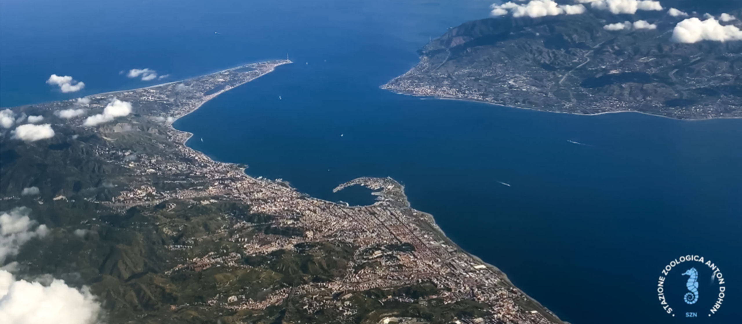 The value of biodiversity flows through the Strait of Messina